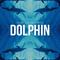 Dolphin专辑