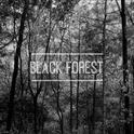 Black Forest专辑