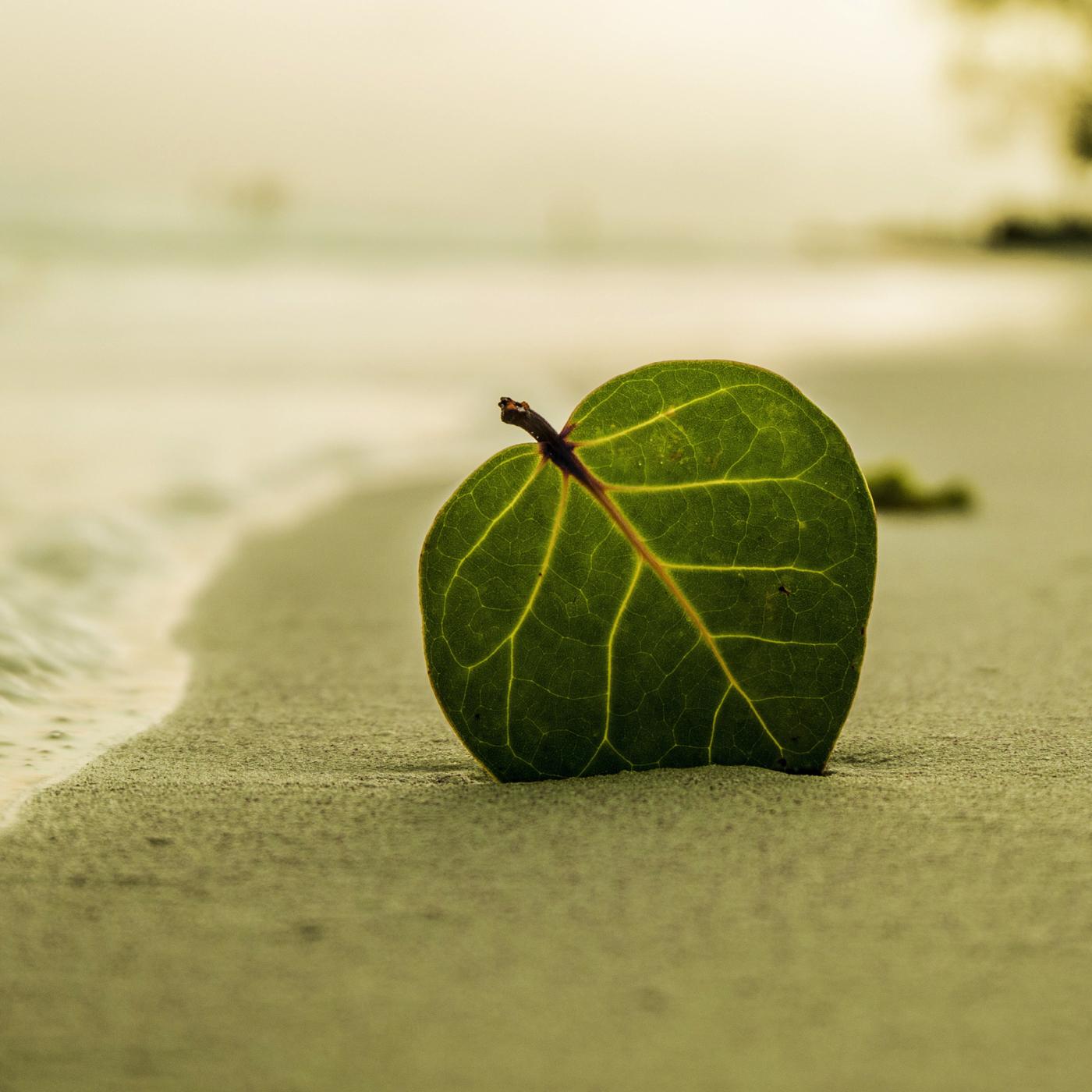 Last Mile Of The Way | Nature's Blessing, Serenity Instrumental Music
