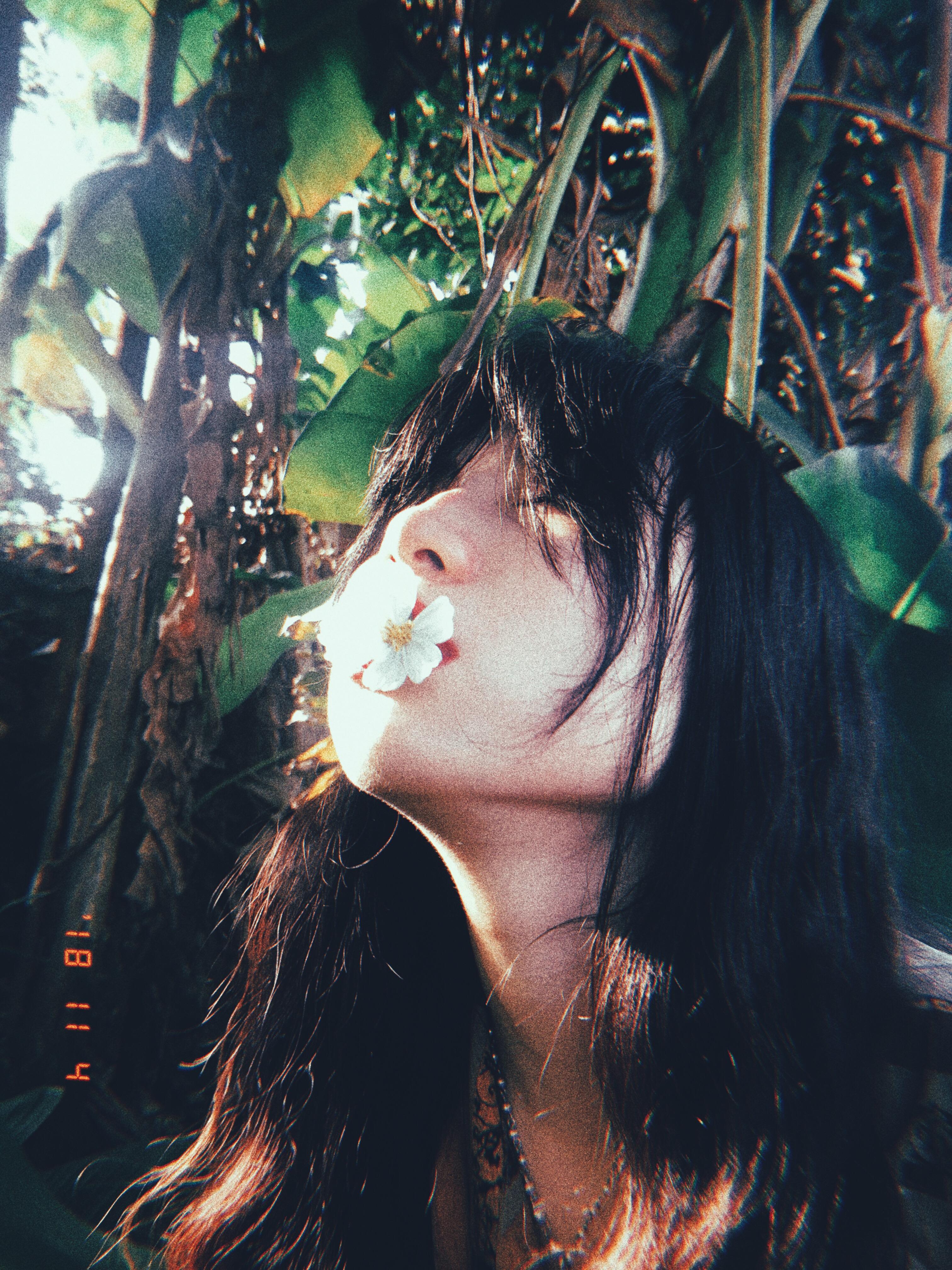 海边的卡夫卡