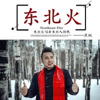 东北火(2021时尚嘉宾EDM电音舞曲资料)