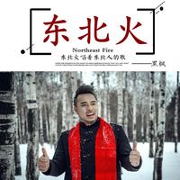 东北火（2021时尚嘉宾EDM电音舞曲资料）