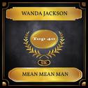 Mean Mean Man (UK Chart Top 40 - No. 40)专辑