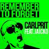 Remember to Forget (Michael Mind Project Radio Edit)