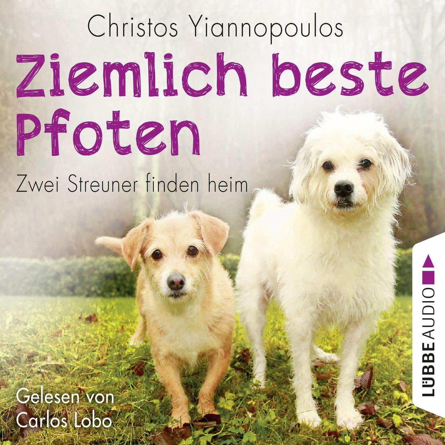 Ziemlich beste Pfoten - Zwei Streuner finden heim
