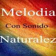 Melodía Con Sonido Naturales