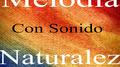 Melodía Con Sonido Naturales专辑