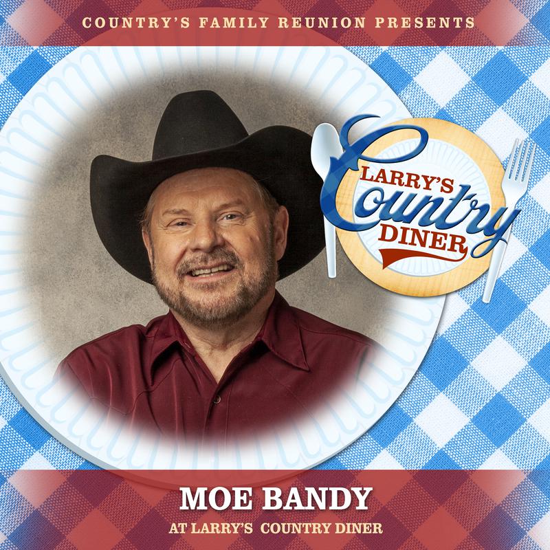 Picture in a Frame (Live) - Country's Family Reunion/Moe Bandy - 单曲 - 网易云音乐