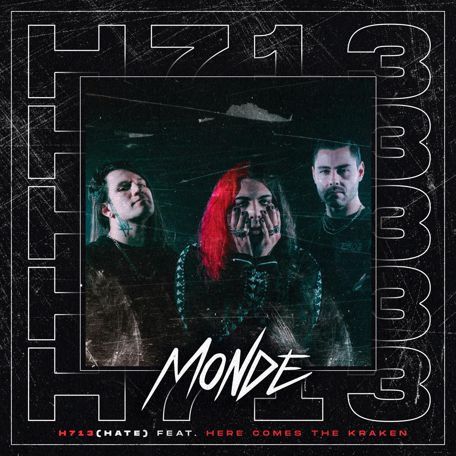 H713(Hate)