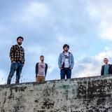 Orchid Collective