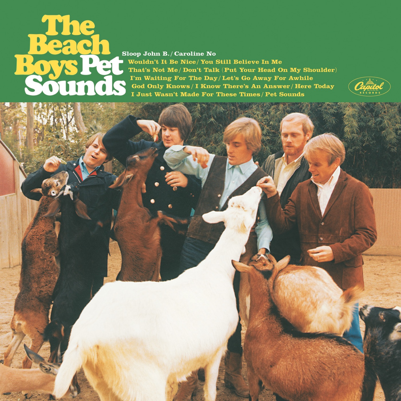 Pet Sounds: The Final Chapter of The Beach Boys' Musical Journey