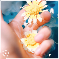 Flowers (带和声) (原版立体声)