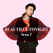 Beautiful tonight专辑