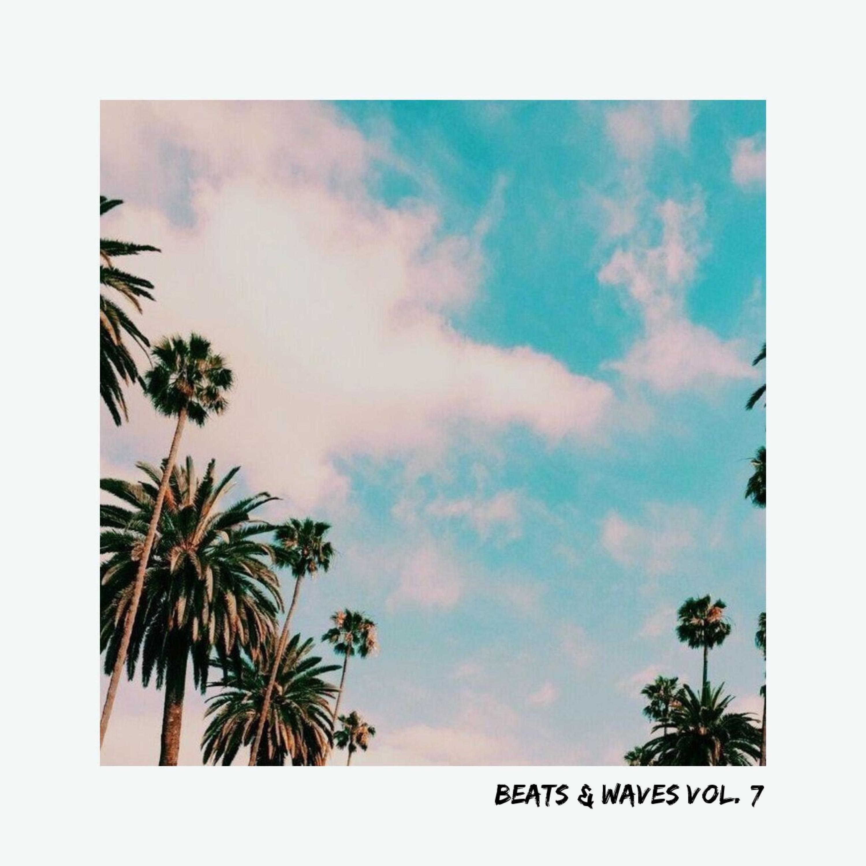 Beats & Waves, Vol. 7专辑