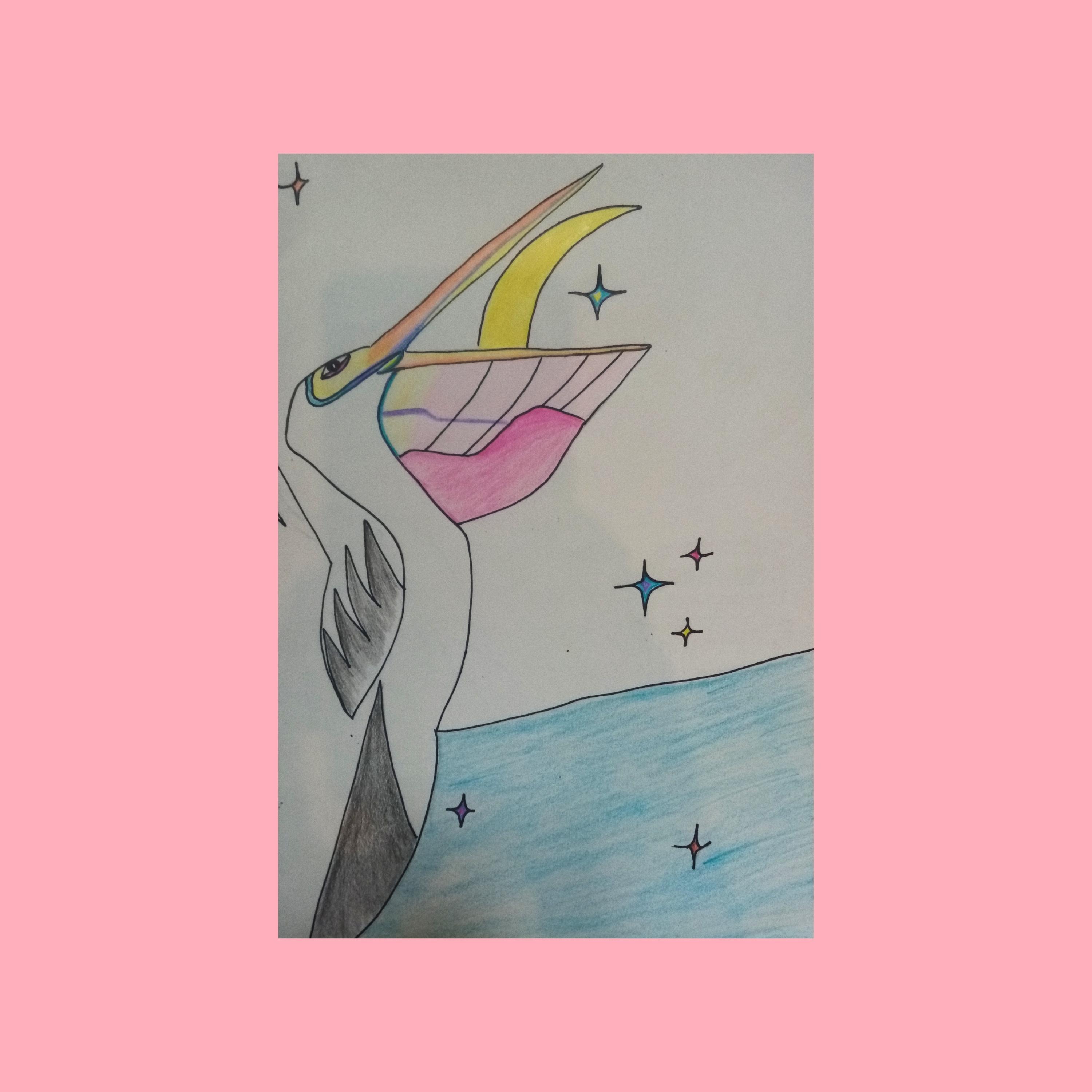 Pelican and the Moon
