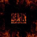Burn (Dotcom's Festival Remix)