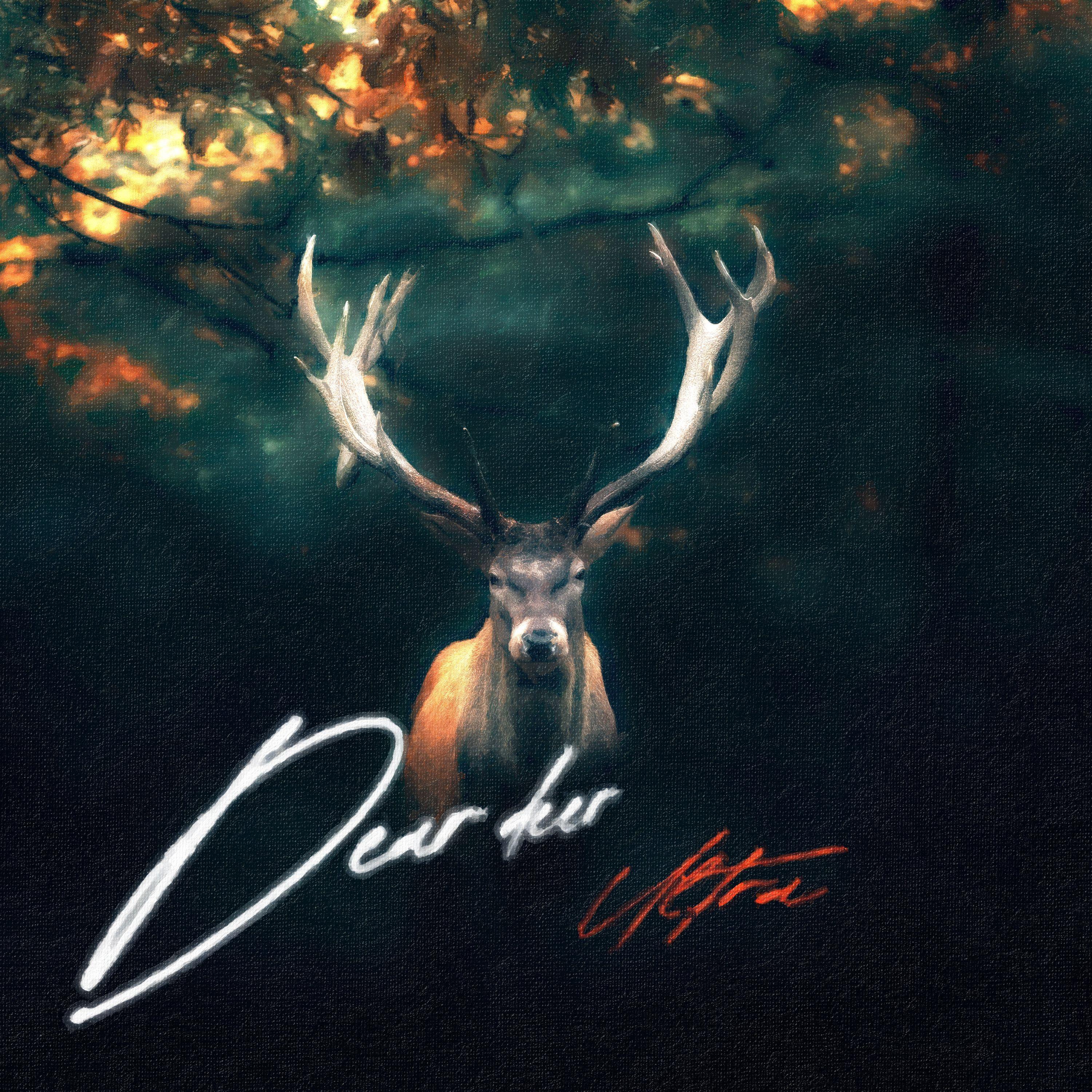 野鹿·Dear Deer