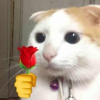 慢慢慢歌~~~