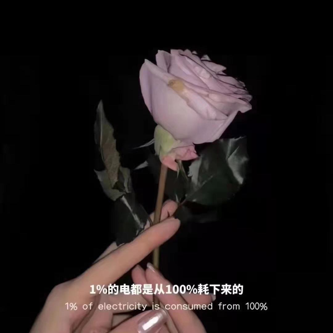 你好，冬天