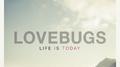 Life Is Today专辑