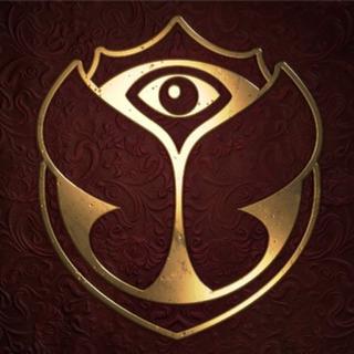 TML：史上最火的100首电音单曲