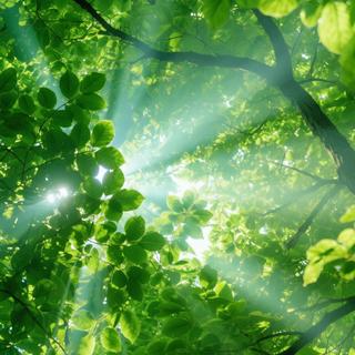 春日美学 | 苦难触碰灵魂 我借春光抚平棱角