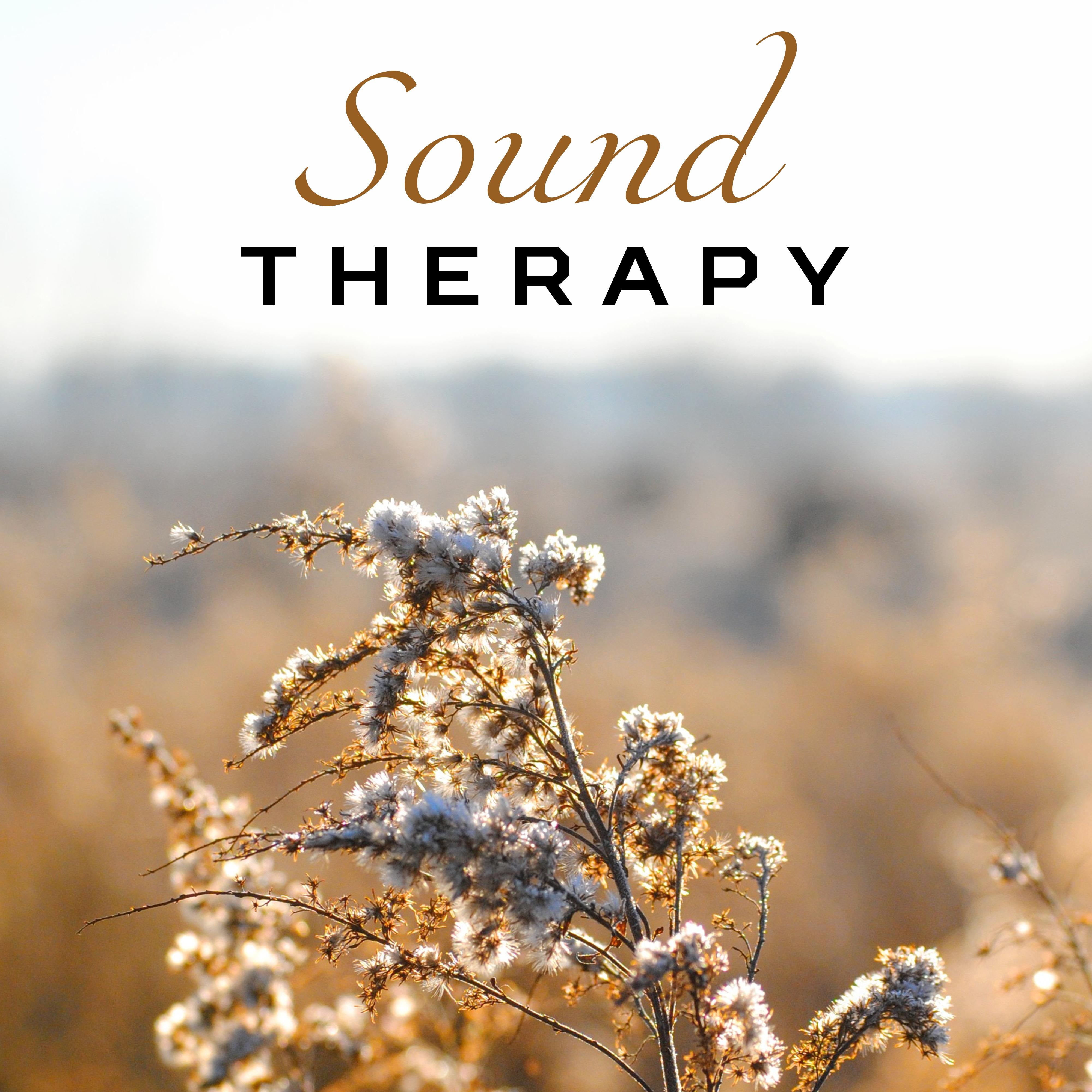 Sound Therapy – Soothing Music, Water Reduces Stress, Peaceful Mind, Meditate, Nature Sounds专辑