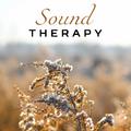 Sound Therapy – Soothing Music, Water Reduces Stress, Peaceful Mind, Meditate, Nature Sounds