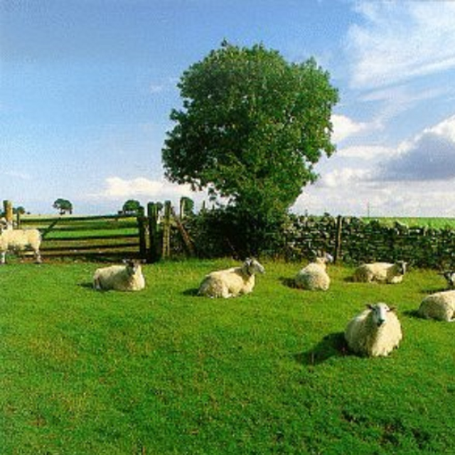 Madrugada Eterna (club mix)