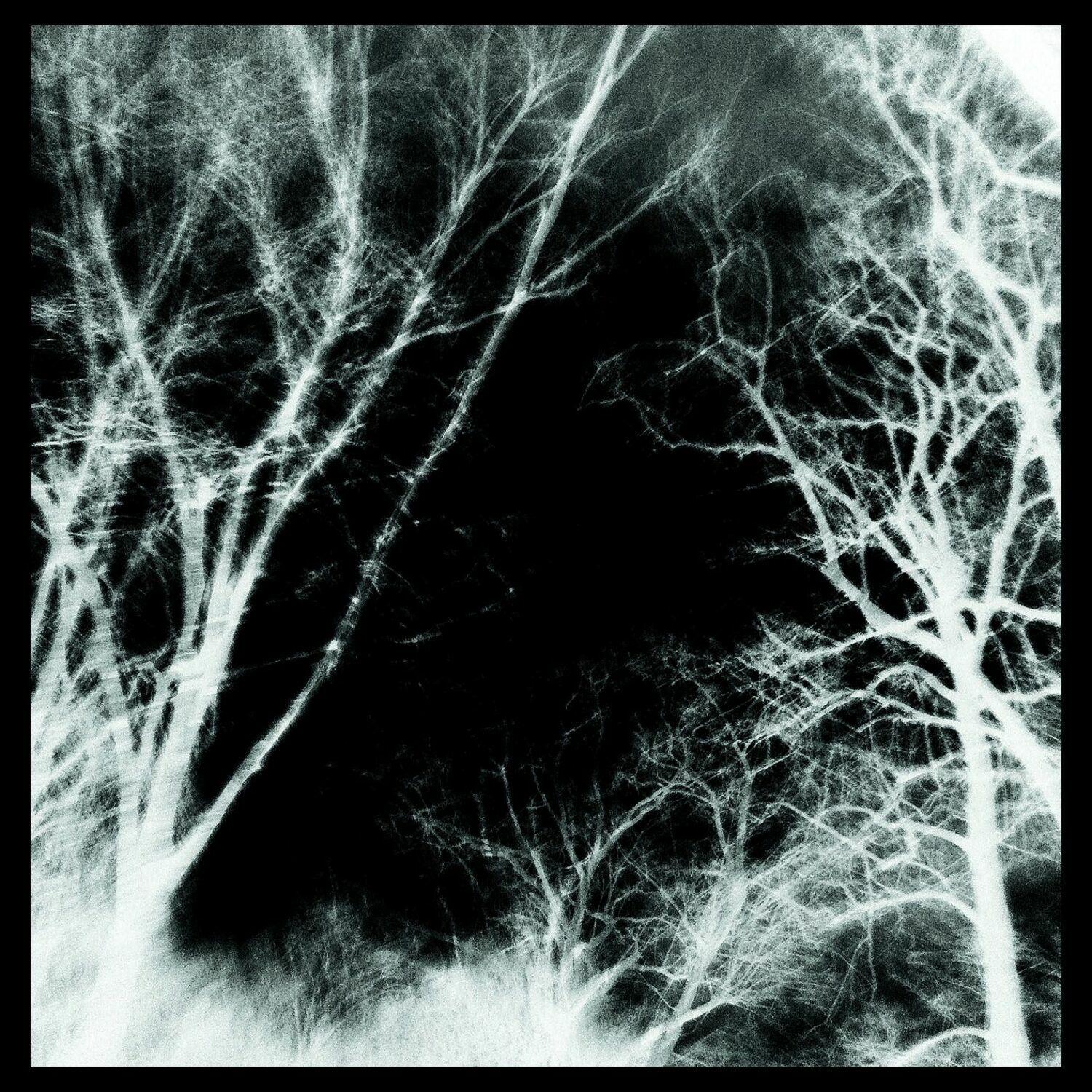 Dismal Rift