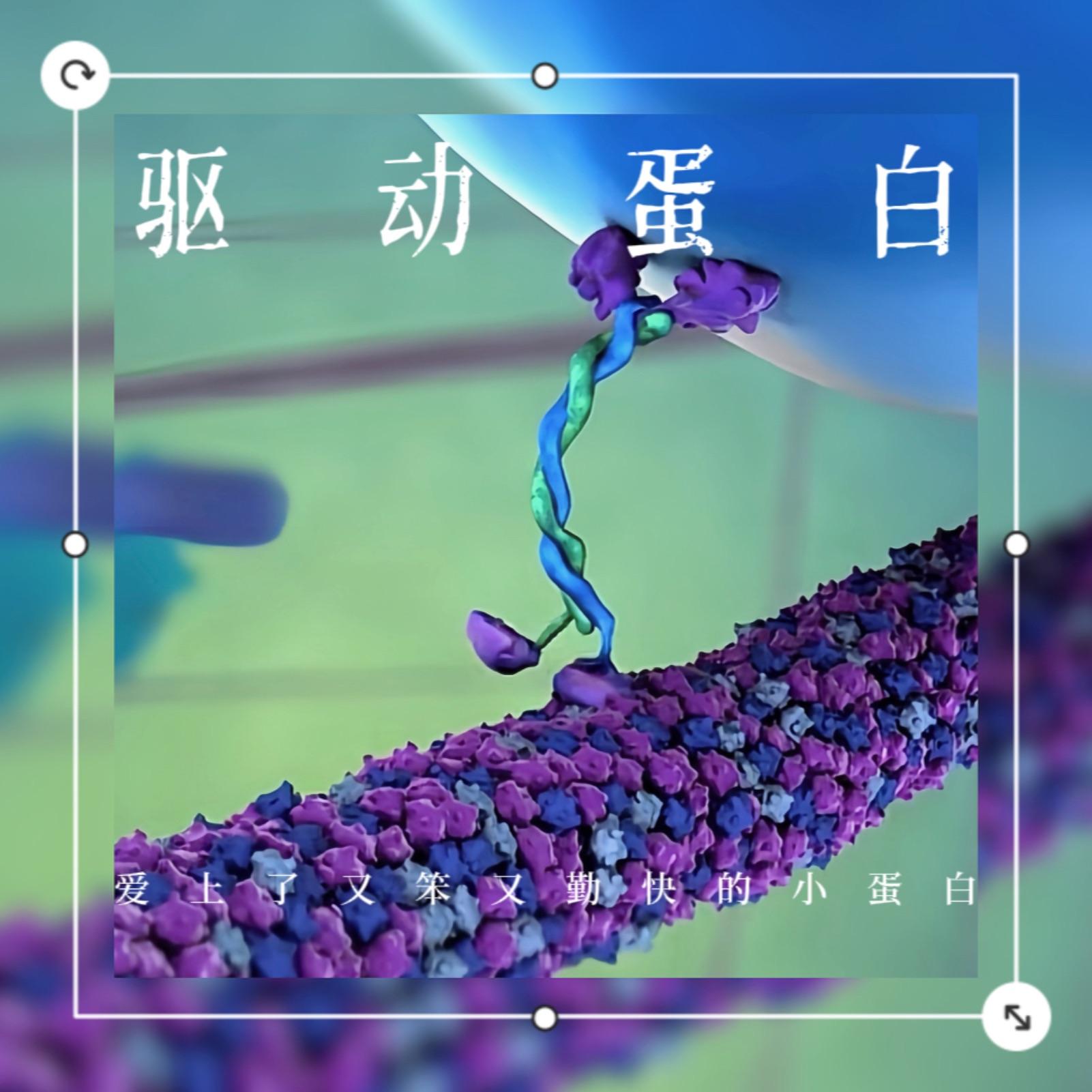 就怕笨还勤快