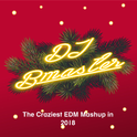 The Craziest EDM Mashup in 2018专辑