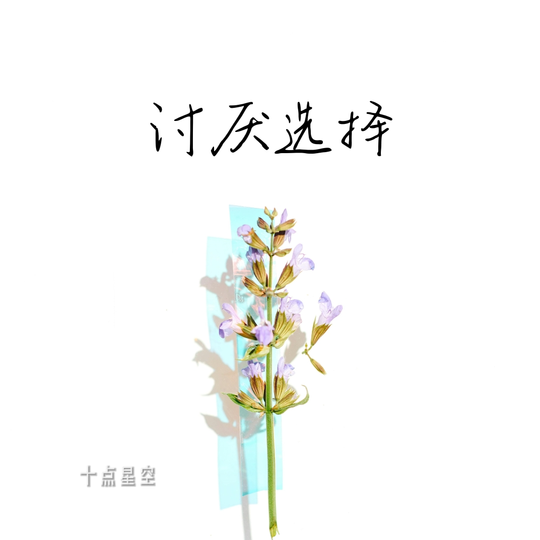 十点星空歌曲封面