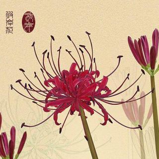 千里寄相思 问君可愿收