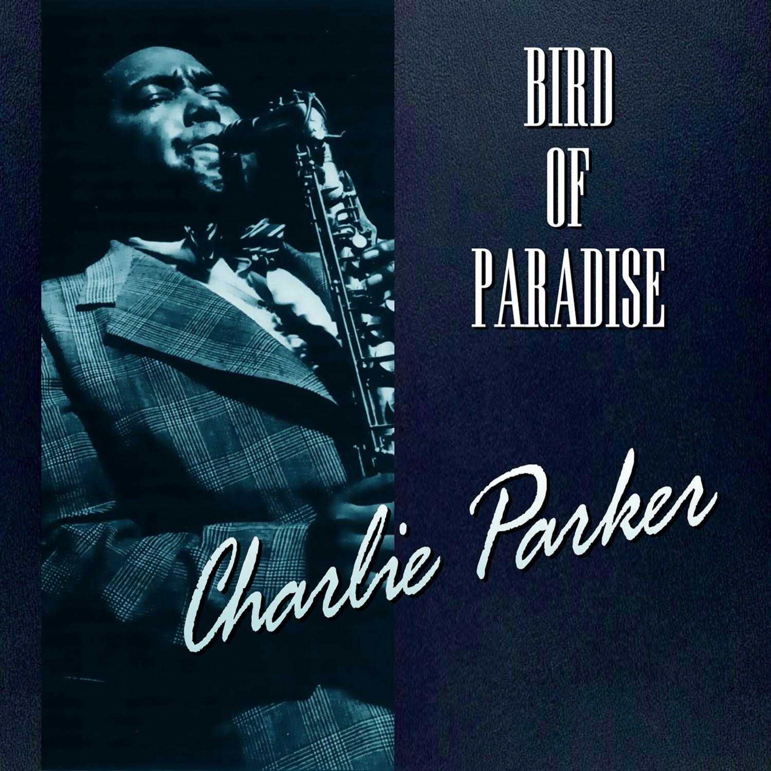 Bird Of Paradise