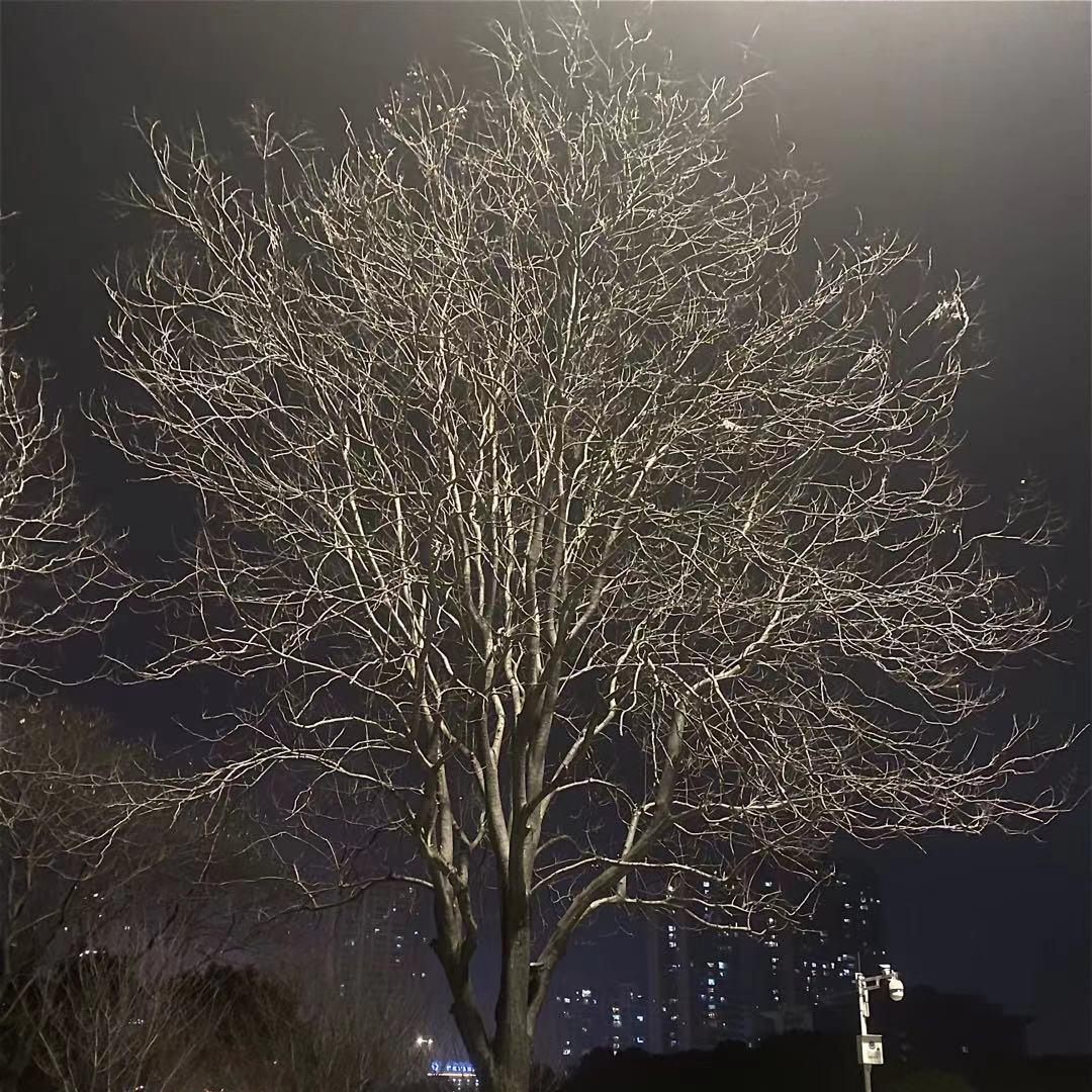 适者生存