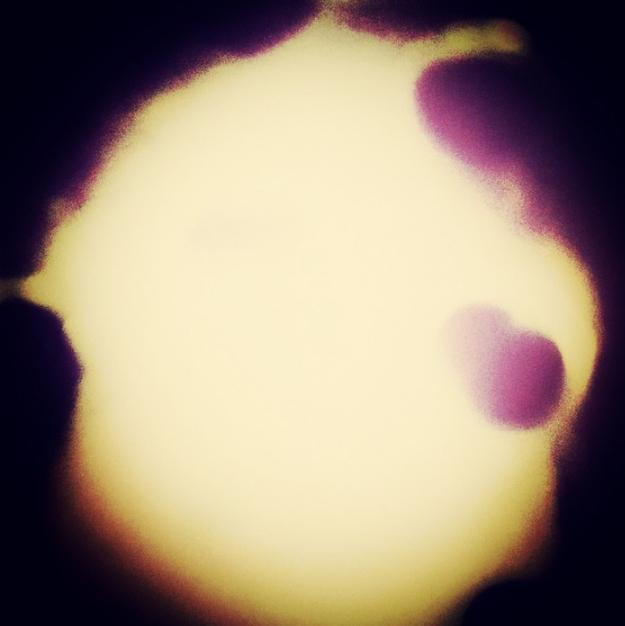 Trashwave EP
