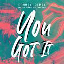 You Got It (Dommix Remix)专辑