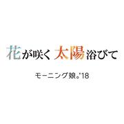 花が咲く 太陽浴びて