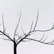 数着