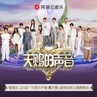 天赐的声音第六季/歌手2025：1-6季精选集
