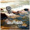 The pebble - Mauville, Rustboro, Mossdeep - Pokemon R/S/E