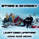 Just One Lifetime (Dave Audé Remix)专辑
