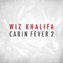 Cabin Fever 2