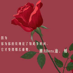 （Free见详情使用）The Battle of the roses