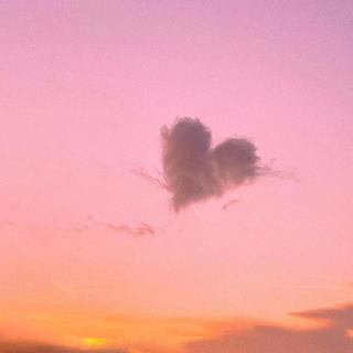 你也一定很喜欢ta吧