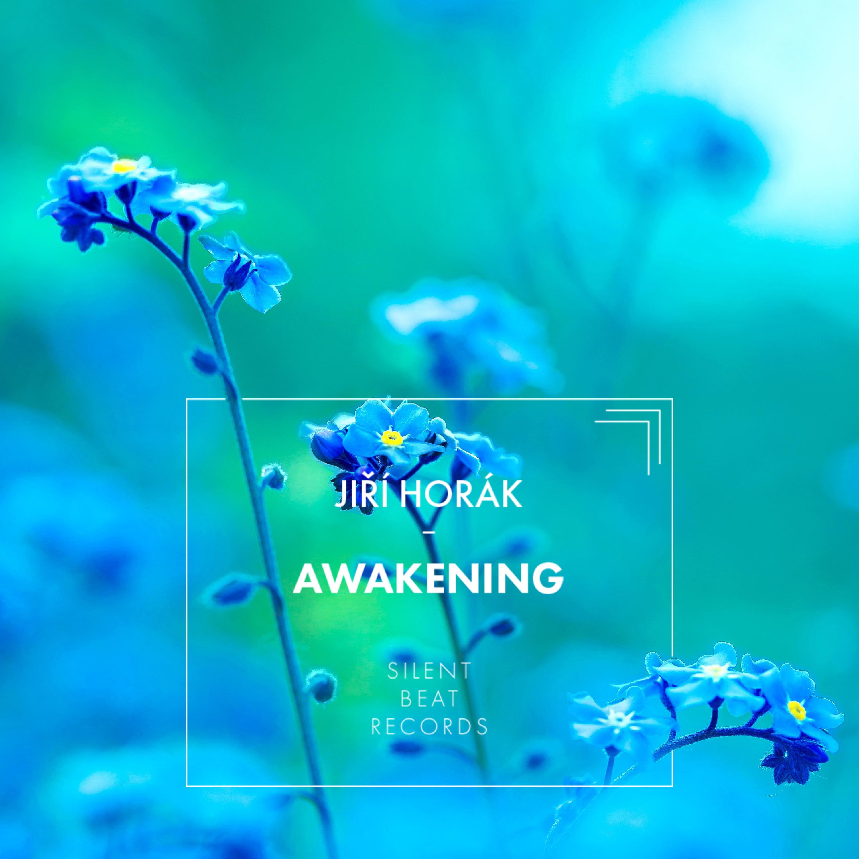 Awakening专辑