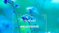Awakening专辑
