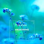 Awakening专辑