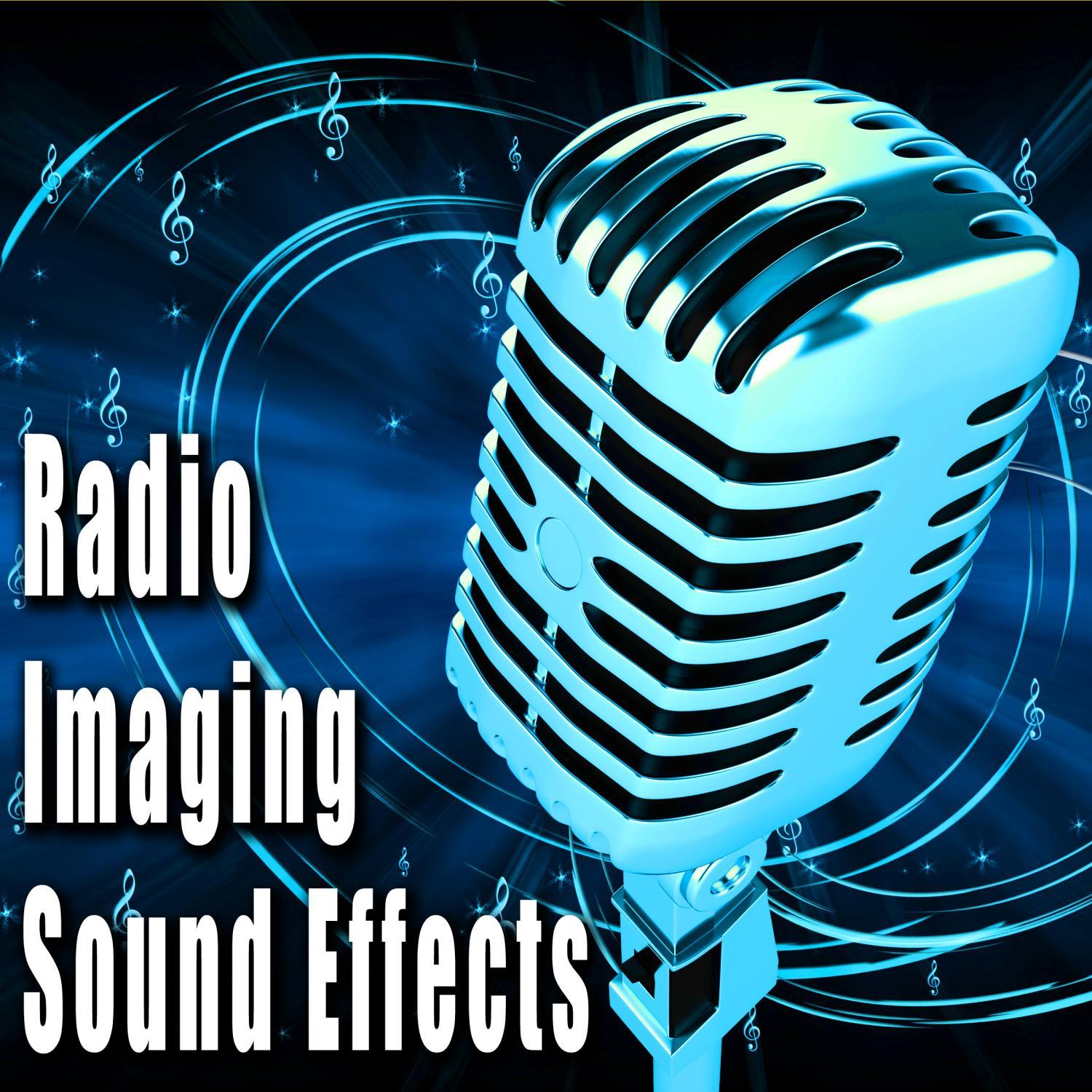 Camera Shutter with Chopper Accent